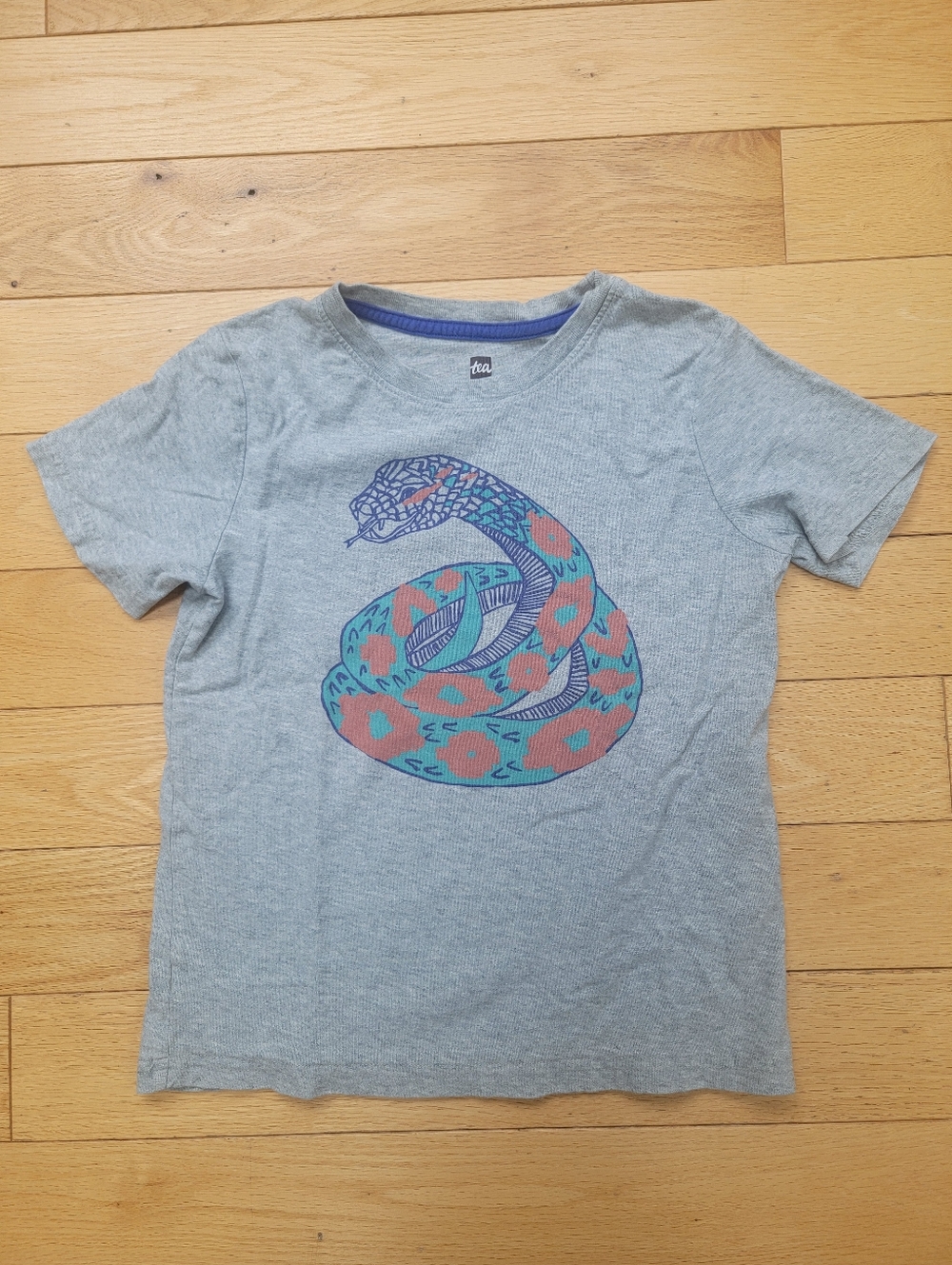 Boys' Tea Collection T-shirt (Size 7)